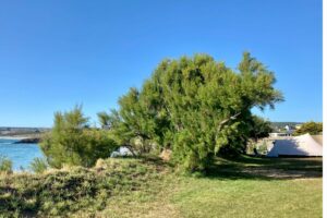 Emplacement de camping vue mer à Plomodiern - Camping de Pors Ar Vag