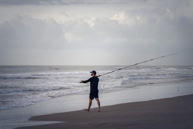 fish, leisure, hobby, fisherman, beach, nature, fishery, outdoors